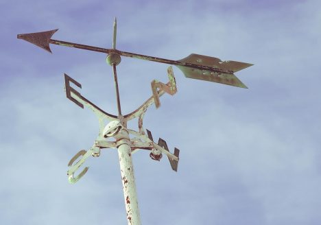 navigating therapist weather vane